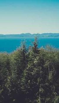 a view of the ocean from the top of a hill